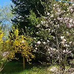 Stanica Wodna Pttk Ukta Resort Ruciane-Nida
